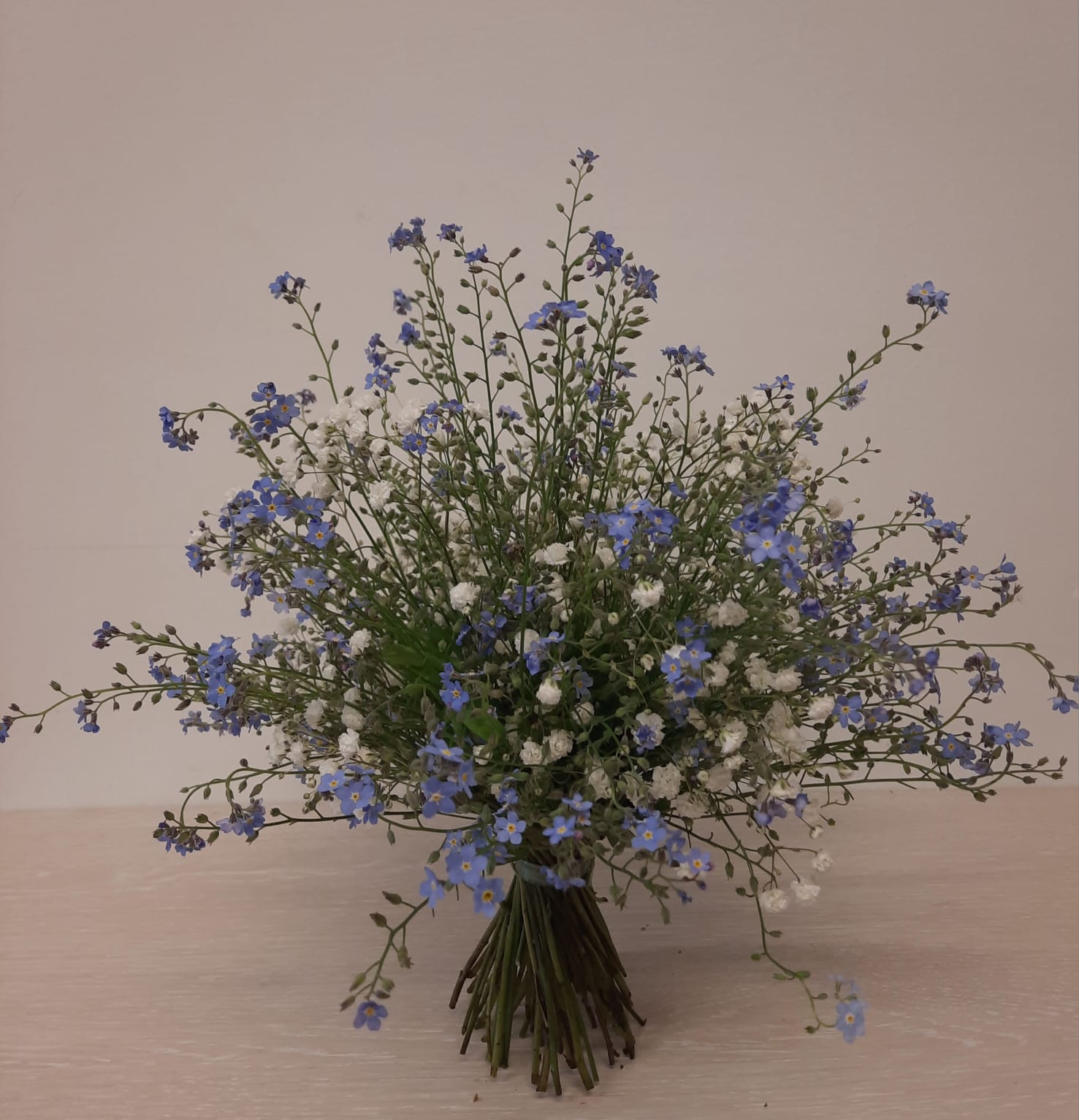 IMG-20250616-WA0022