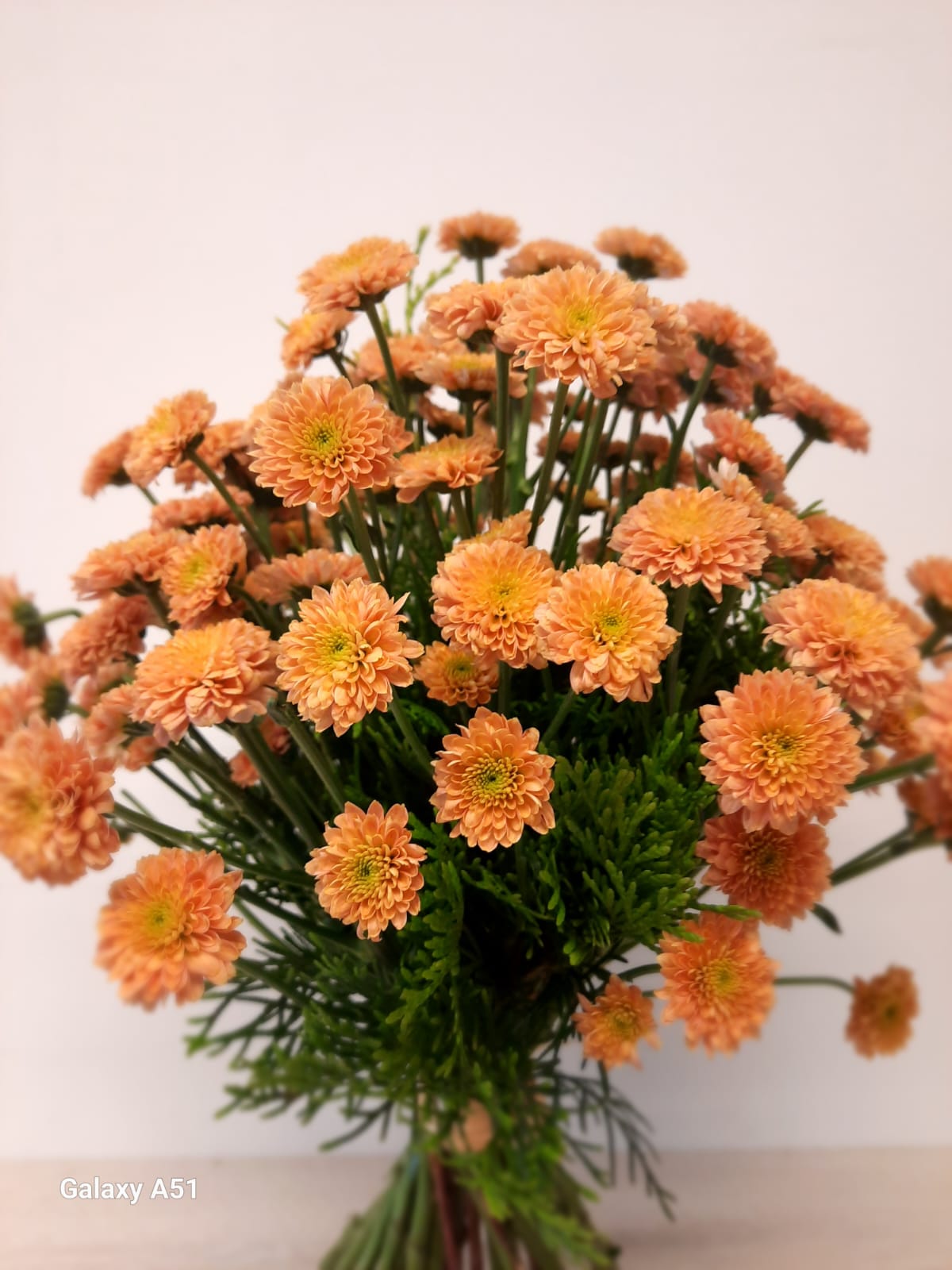 IMG-20250616-WA0023